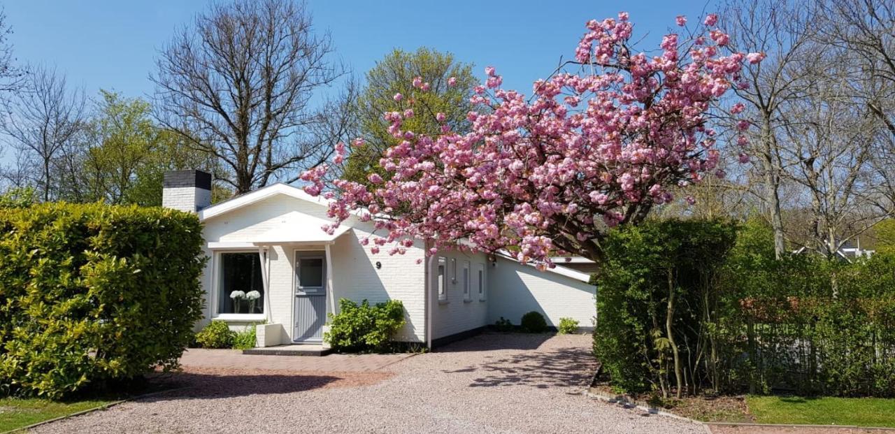 Dennenbos Vakantiepark